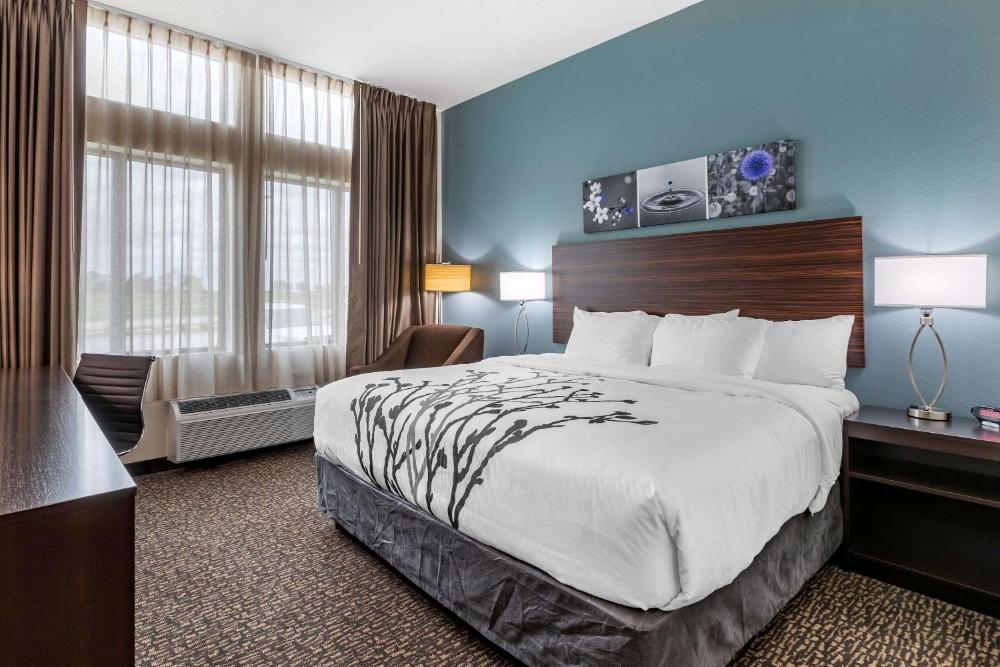 King Room - Non-Smoking interior